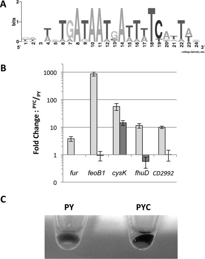 FIG 5