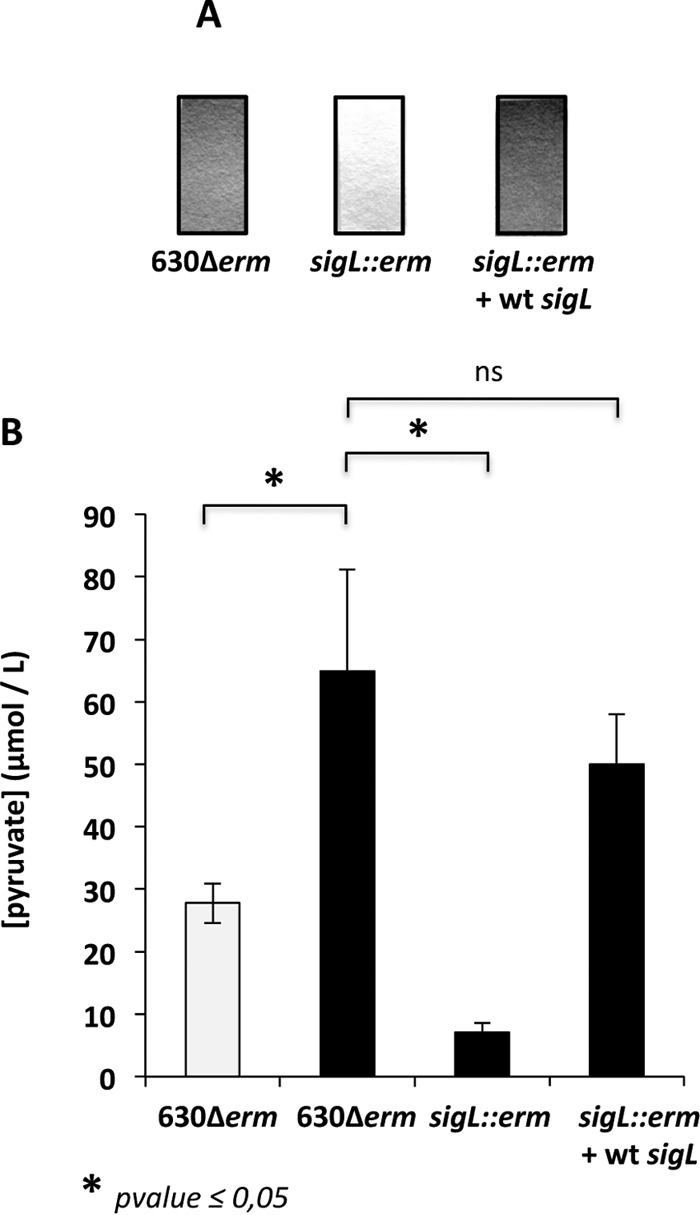 FIG 8