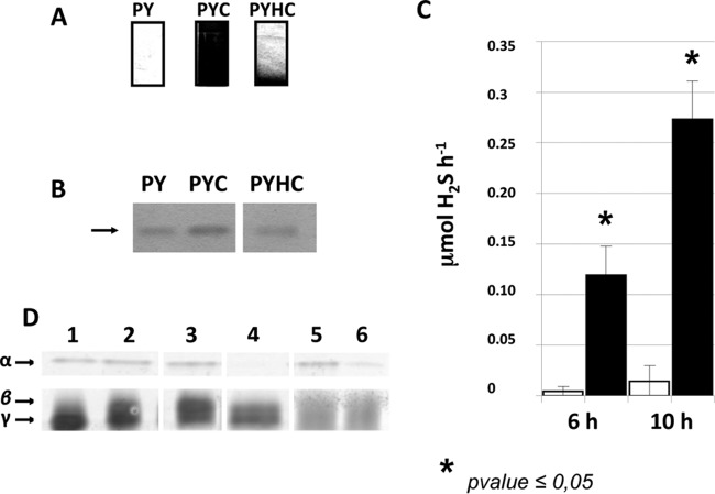 FIG 4