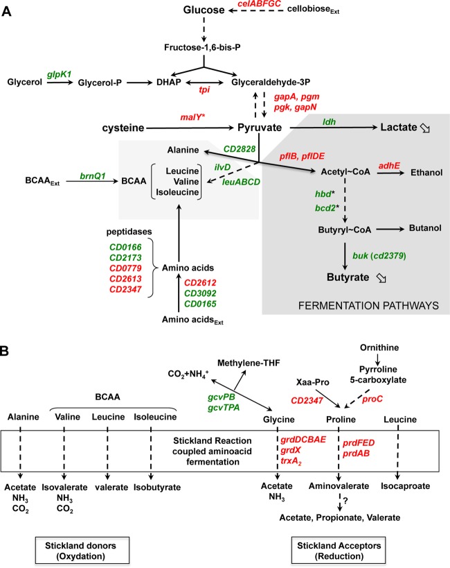 FIG 6