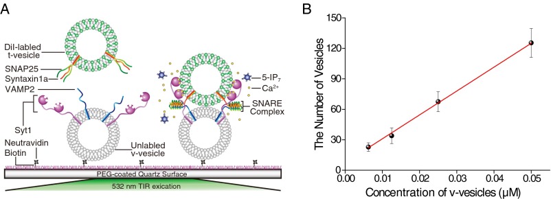 Fig. S8.