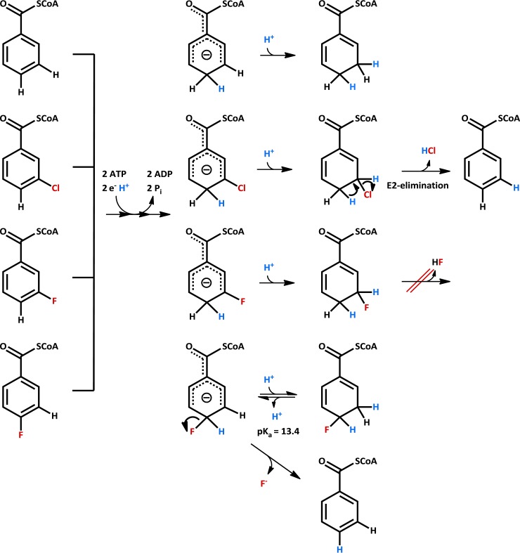 FIG 6 