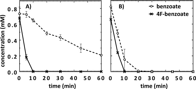 FIG 2 