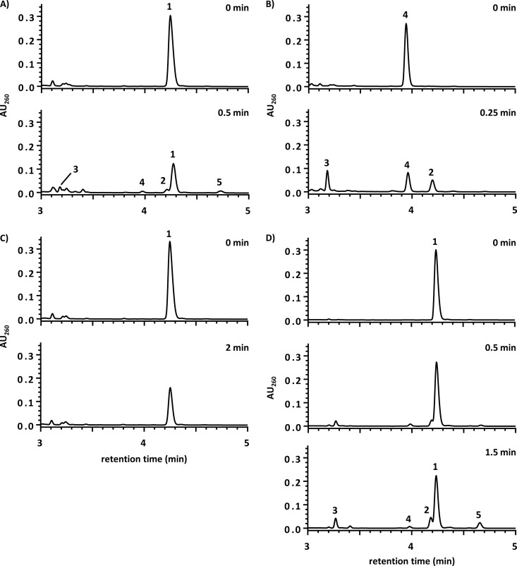 FIG 3 