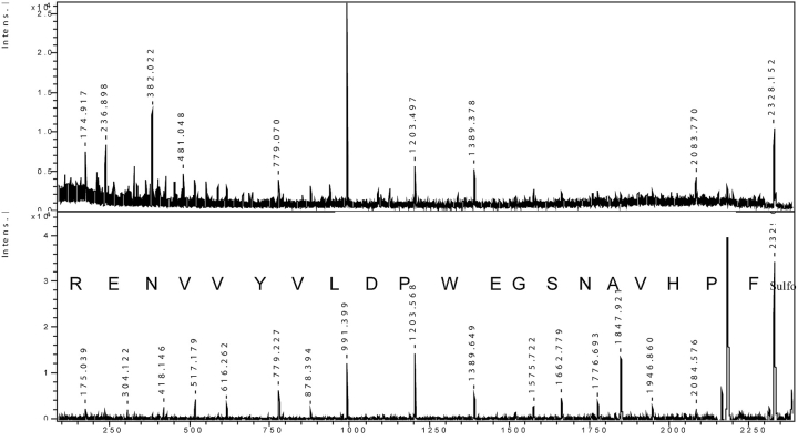 FIGURE 2