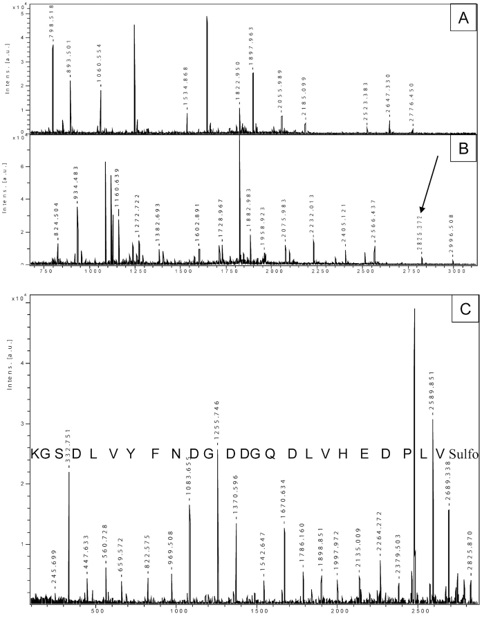 FIGURE 3