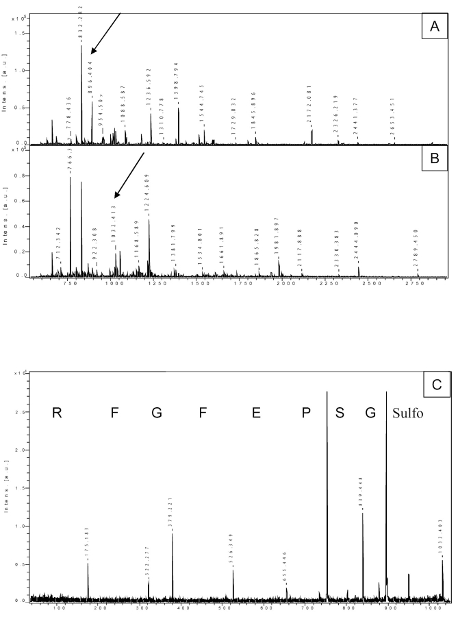 FIGURE 4