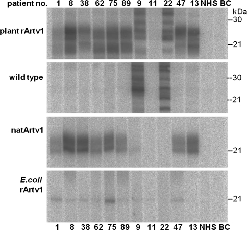 Fig. 4