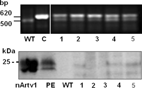 Fig. 3