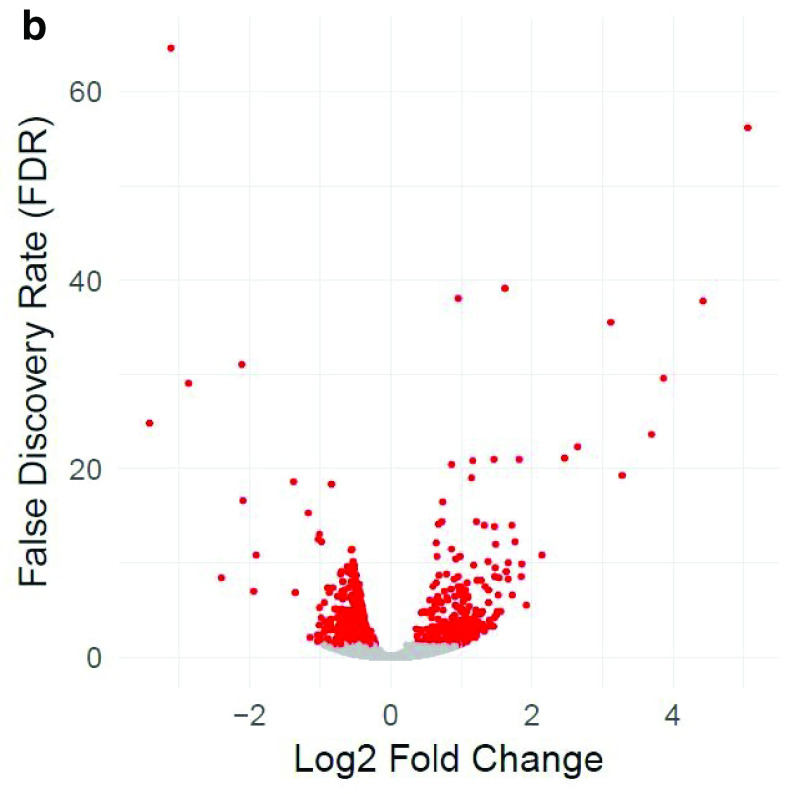 Figure 2b. 