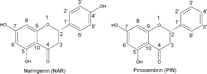 Figure 2