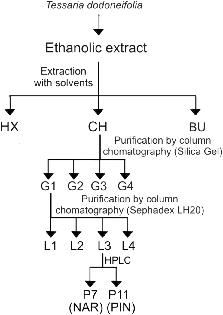 Figure 1