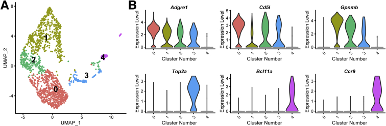 Figure 5