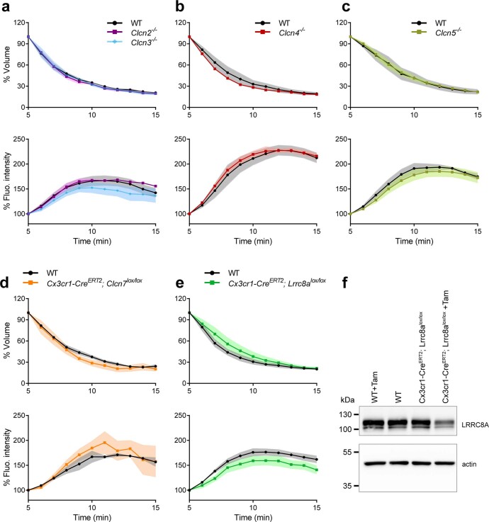 Extended Data Fig. 5