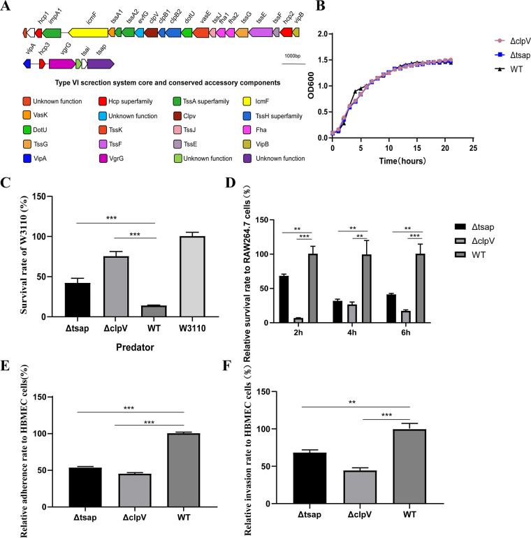 FIG 1