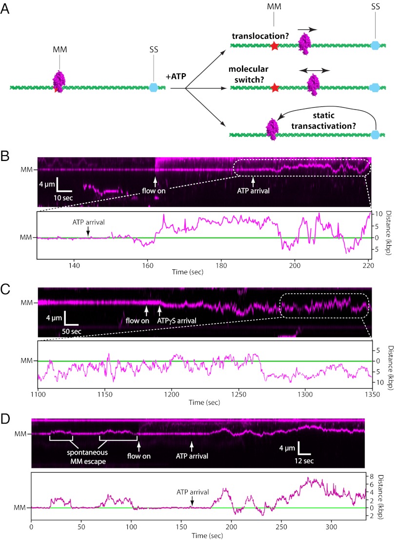 Fig. 3.