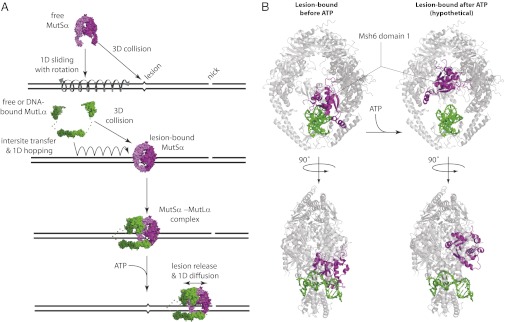 Fig. 7.