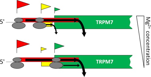 Figure 8.