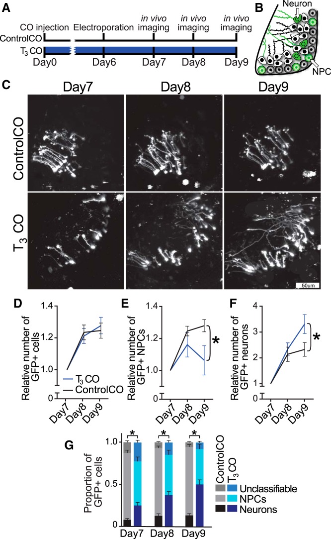 Figure 10.