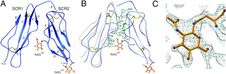 Fig 2.