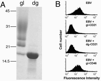 Fig 1.