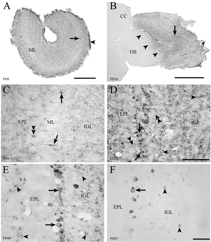 FIG. 8.