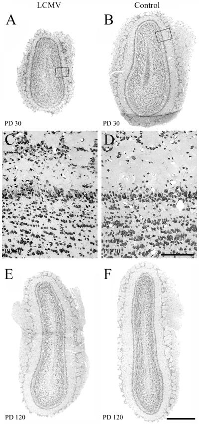 FIG. 9.