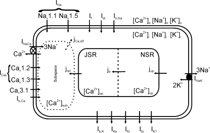 Fig. 1.