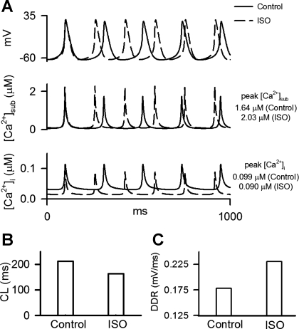 Fig. 12.