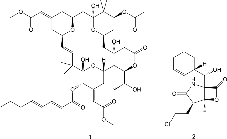 Fig. 1