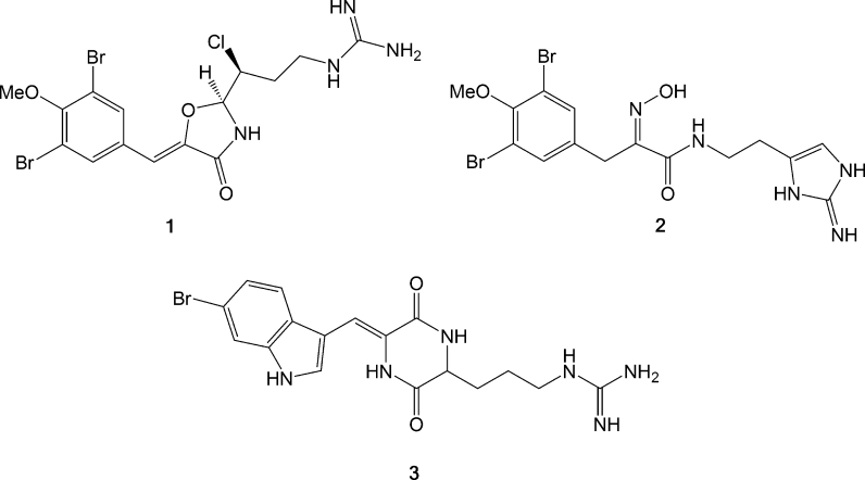 Fig. 8