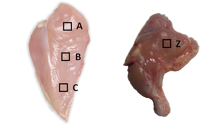 Fig. 7.