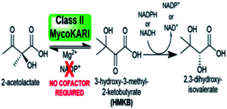 graphic file with name d1ra08876a-ga.jpg