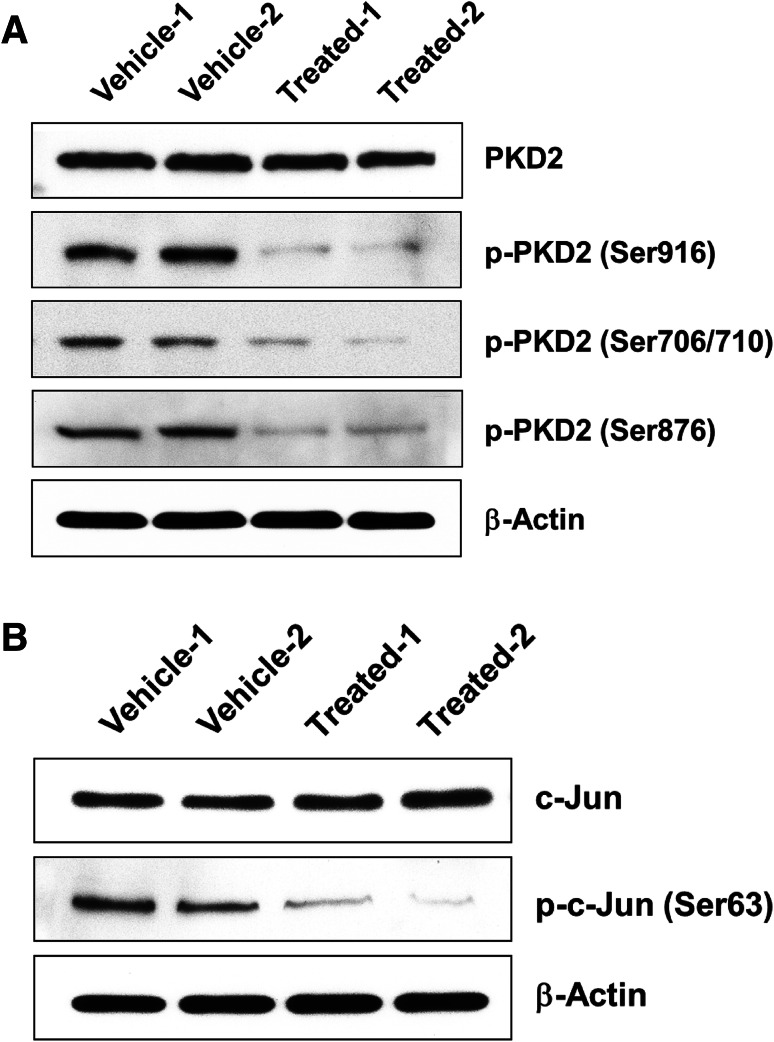 Fig. 10