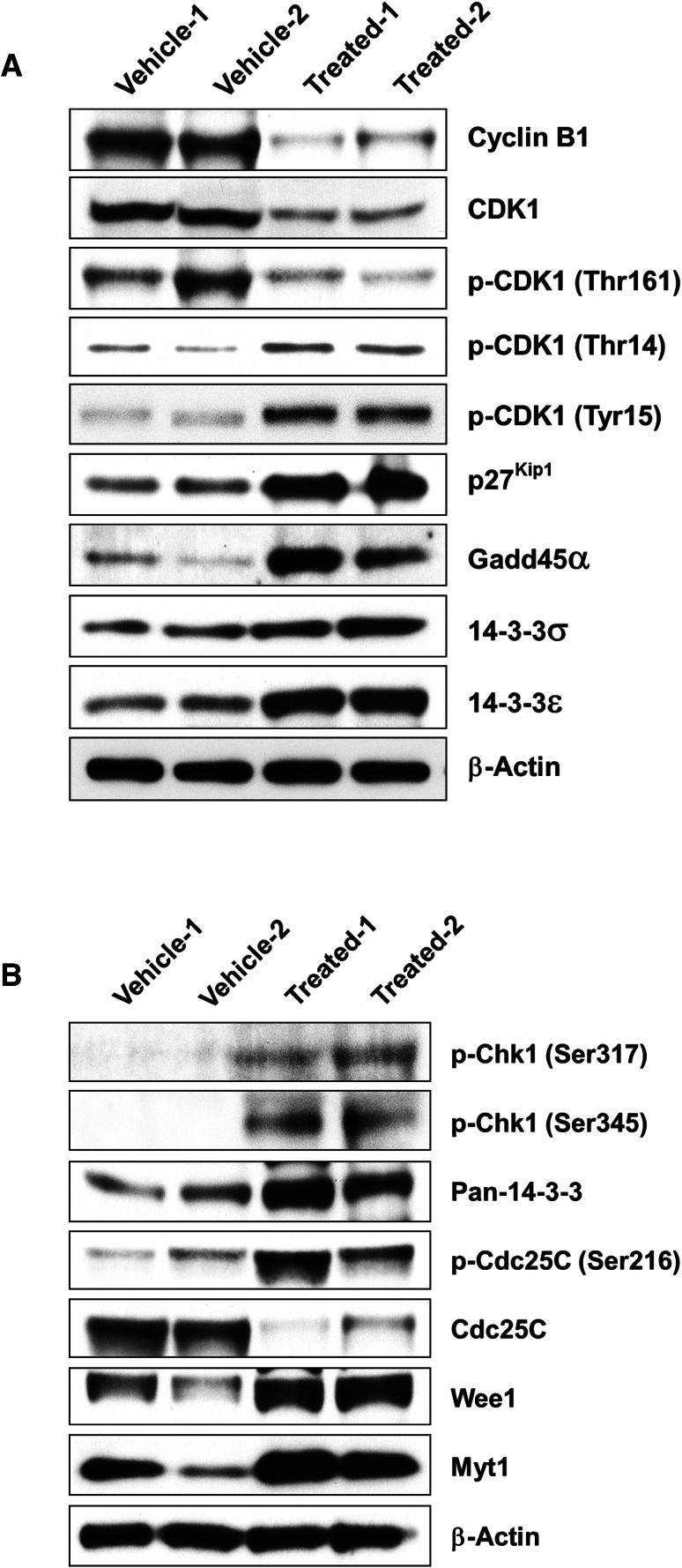 Fig. 13