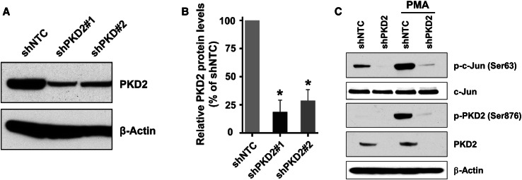 Fig. 7