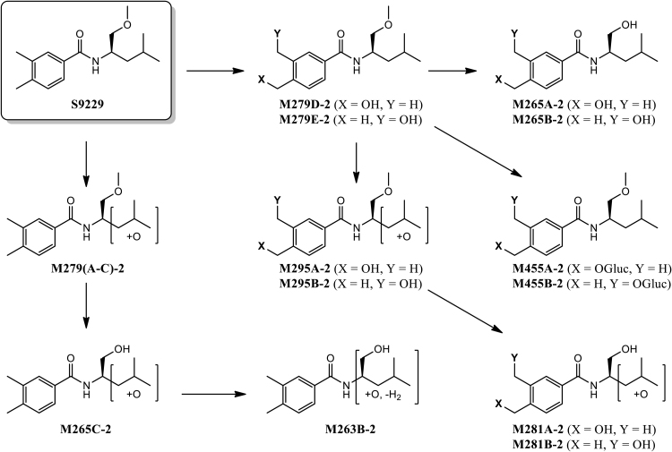 Fig. 5