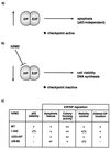 FIG. 8