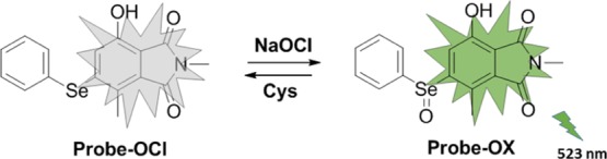 Scheme 2