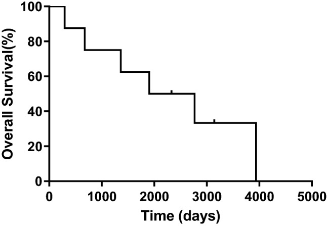 Fig. 1