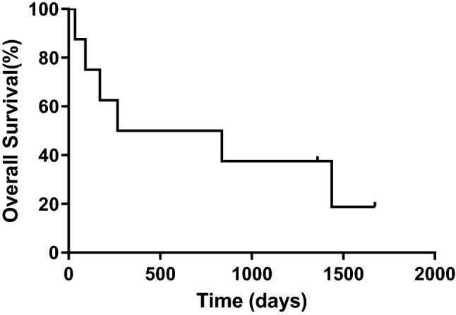 Fig. 2