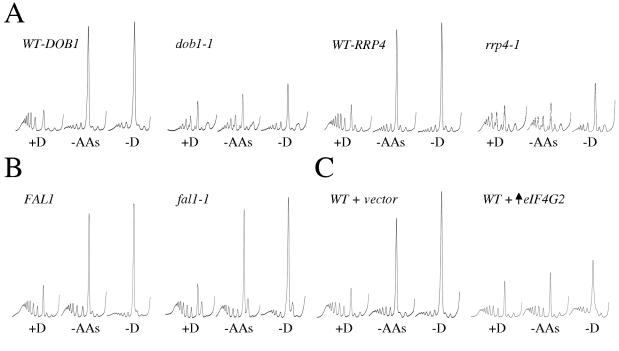 FIG. 6.