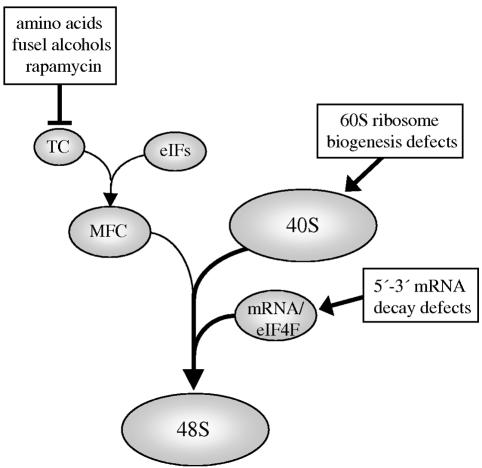 FIG. 7.