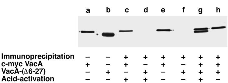 FIG. 5