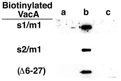 FIG. 6