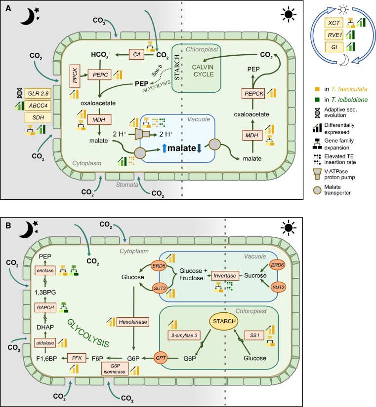 Figure 6.