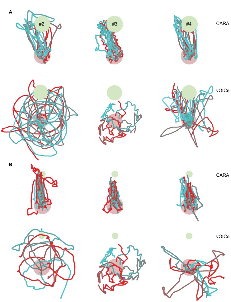 Figure 5—figure supplement 1.