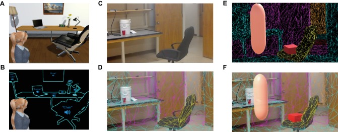 Figure 1—figure supplement 2.