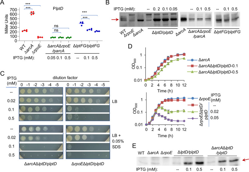 FIG 6