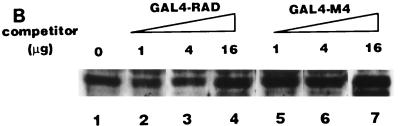 FIG. 8